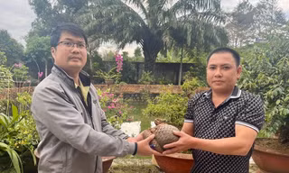 Nghe tiếng động lạ, người đàn ông ra sân thấy con vật quý hiếm đang bò vào