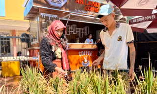 Những bó hoa lúa độc đáo, hút khách ở thủ phủ cà phê