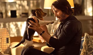 Phim mới của Keanu Reeves: Hành động trước, cảm xúc sau