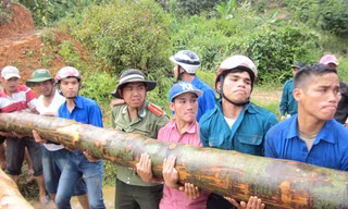 Thanh niên Tây Giang chung tay góp sức vác những cây gỗ lớn làm cầu giúp dân. Ảnh: Nguyễn Thành.