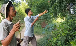 Anh Cường (trái) và anh Thiết đang truy lùng một con rắn lải.