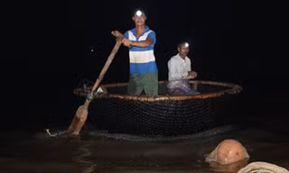 Thời điểm này đang là mùa sinh sản của cá mú nên có rất đông người đi đánh bắt.