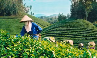 Cần 30 tỷ USD để kinh tế tăng trưởng xanh