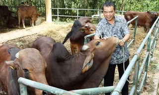 Chương trình “đổi sim lấy bò”: Viettel khẳng định tính minh bạch