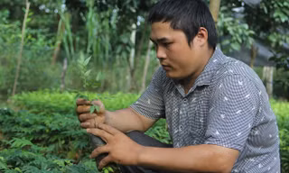 Chàng trai tật nguyền và vườn ươm trăm triệu