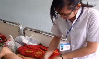Hai người đầu tiên tỉnh Bình Định bị rắn lục đuôi đỏ cắn