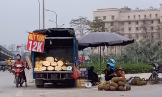 Nông sản xuất khẩu ách tắc, bày bán tràn ngập trên phố Hà Nội