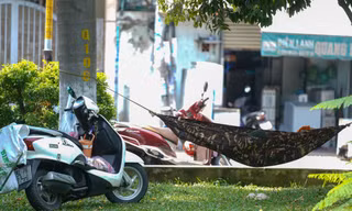Người dân TPHCM mắc võng ở công viên tránh nóng