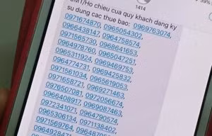 Cố tình cập nhật sai thông tin thuê bao sẽ bị phạt đến 100 triệu đồng