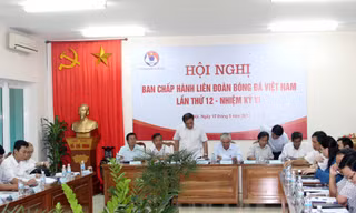 Đại hội VFF có thể hoãn tới tháng 10/2013