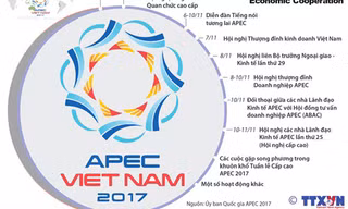 [Infographics] Những hoạt động chính trong Tuần lễ Cấp cao APEC 2017