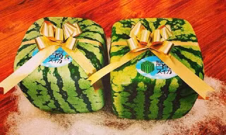 Dưa hấu vuông Nhật Bản có giá 4,5 triệu đồng/quả. Ảnh: Khúc Ngọc Anh