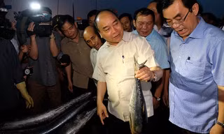 Thủ tướng mua cá, tặng quà cho ngư dân Quảng Trị