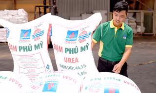 Chương trình khuyến mãi “Đạm Phú Mỹ-Triệu tình thương” nhân sự kiện nhà máy Đạm Phú Mỹ cán mốc sản lượng 10 triệu tấn sắp tới.