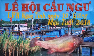 Độc đáo Lễ hội Cầu ngư - Rước cá Sủ vàng tại Hải Phòng