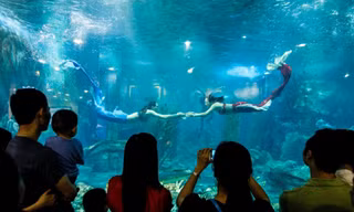 Du xuân lên rừng xuống biển ngay tại Vinpearl Nha Trang
