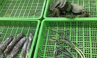 Rau tăng phi mã, đắt ngang thịt cá
