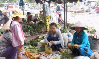 Nữ sinh bán rau với ước mơ giảng đường sắp vụt tắt