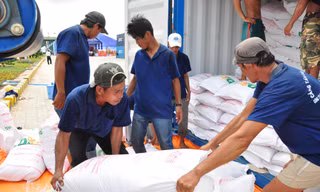 Sau lùm xùm xuất khẩu gạo, lại lộ ra hàng loạt bất cập trong quản lý, đấu thầu gạo dự trữ Ảnh minh họa của Hòa Hội 