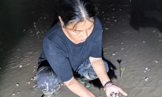 Bà Hiền đau xót bốc từng nắm vỏ ngao nằm ngổn ngang giữa bãi triều. ảnh: Ngọc Hải 