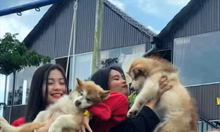 Bạn trẻ thích thú khi được ôm chú chó dễ thương