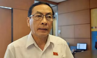 Đại biểu Quốc hội: 'Chưa thấy hiệu trưởng nào bị cách chức vì lạm thu'