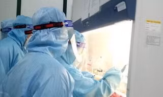 Hơn 600 mẫu xét nghiệm ở Nghệ An âm tính với virus SARS-CoV-2