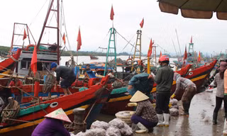 Cảng cá Lạch Vạn (thuộc xã Diễn Ngọc, huyện Diễn Châu, Nghệ An), nơi đây có hàng trăm người tập trung về để buôn bán, trao đổi hải sản mỗi ngày.
