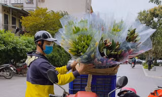 Hoa ly rớt giá thê thảm, cộng đồng mạng kêu gọi 'giải cứu'