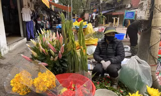 Sát Rằm tháng Giêng, giá hoa ở Hà Nội thấp lạ thường