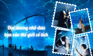 Bật mí góc "sống ảo" cực đẹp ở thủy cung, giới trẻ như lạc vào thế giới cổ tích