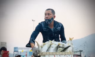 Vươn khơi đầu năm, ngư dân phấn khởi trúng đậm tôm, cá