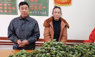 Cặp vợ chồng vận chuyển hàng nghìn quả thuốc phiện tươi đi bán