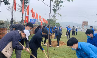 Hà Tĩnh ra quân tháng Thanh niên và Tết trồng cây