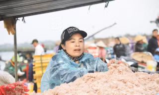Ngư dân Hà Tĩnh trúng đậm ruốc biển, thu tiền triệu mỗi ngày