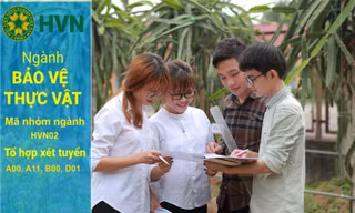 Ngành Bảo vệ thực vật trước xu hướng sản xuất theo hướng bền vững với nông sản an toàn