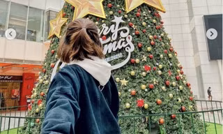 Những cây thông Noel khổng lồ được giới trẻ check-in tại Hà Nội