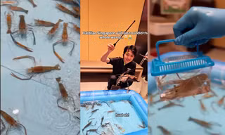Nhà hàng lẩu ở Singapore chơi lớn gây trầm trồ: "Hồ" câu tôm ngay trong nhà