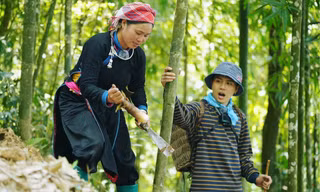 Gia Đình Haha: Chị Thông và Duy Khánh giao lưu với khán giả, liên tục "quăng miếng"