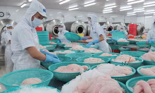 Trong 3 tháng, từ 15/7 đến 15/10, tất cả các lô hàng cá tra xuất khẩu sang Mỹ sẽ được kiểm tra 100% về chỉ tiêu an toàn thực phẩm