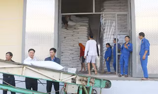 Gạo nhập kho dự trữ nhà nước.