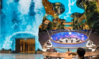 Sân bay Singapore nâng cấp loạt điểm check-in siêu xịn khiến team du lịch mê mẩn