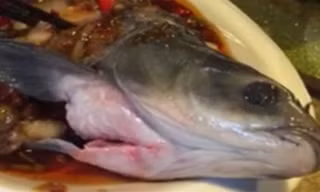 Kinh hãi cá nấu chín vẫn nhúc nhích trên đĩa