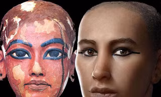 Phác họa chân dung vua Tutankhamun. Ảnh: Live Science.