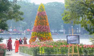 Cận cảnh cây thông Noel 'độc nhất' làm từ 2.000 cành hoa ly ở Hà Nội