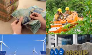 Nóng lãi suất ngân hàng, lộ lý do hơn 700 triệu cổ phiếu FLC ‘bất động’