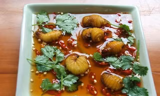 Những loại sâu bọ 'độc nhất vô nhị' đắt đỏ, thực khách săn lùng 