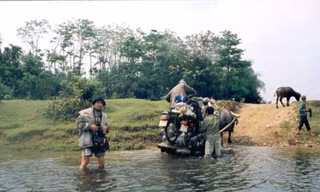 Sinh mệnh ngòi bút