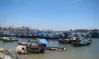 Cửa biển bồi lấp, nghề cá khủng hoảng