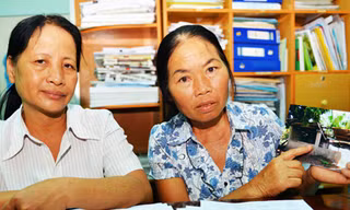 Heo nái xổng chuồng, kiện tới tối cao